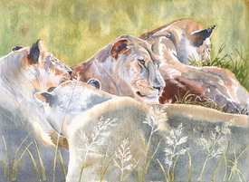Relaxing in the Masai Mara, Watercolour by Jennifer Horn